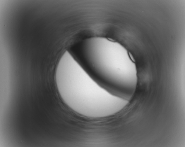 X0000097000613200802081029