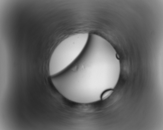X0000097000615200802081029