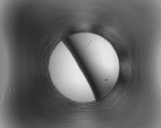 X0000097000617200802081029