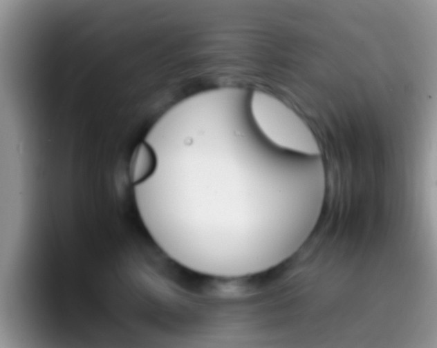 X0000097000618200802081029