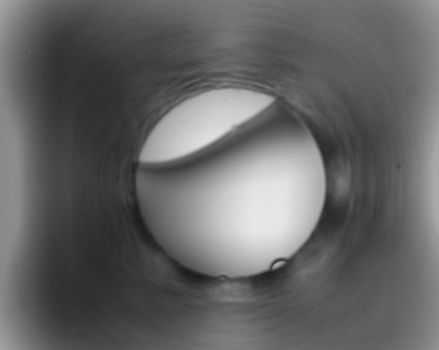 X0000097000619200802081029