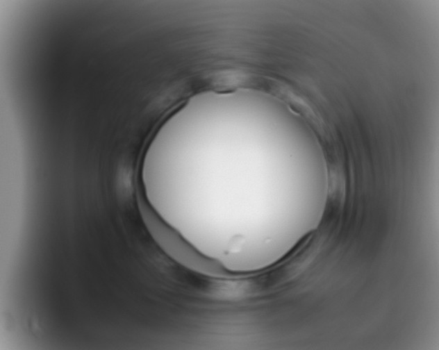 X0000097000621200802081029