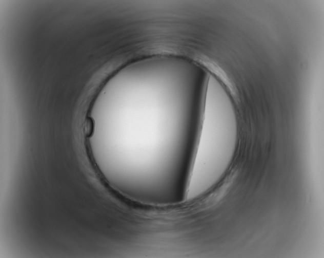 X0000097000625200802081029