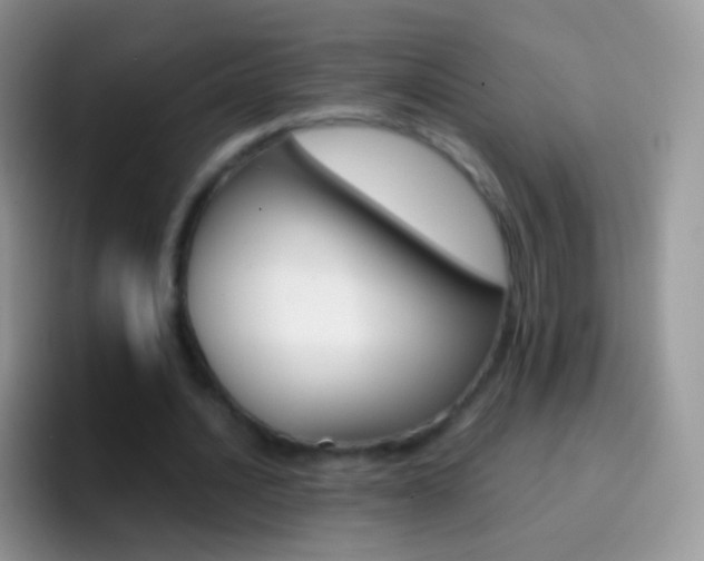X0000097000628200802081029