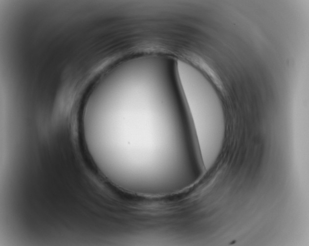 X0000097000629200802081029
