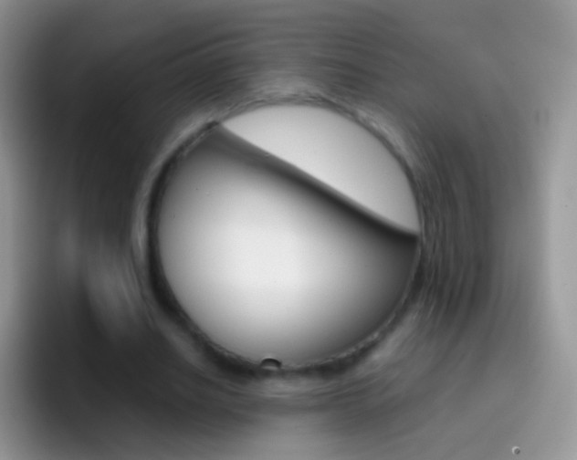X0000097000630200802081029