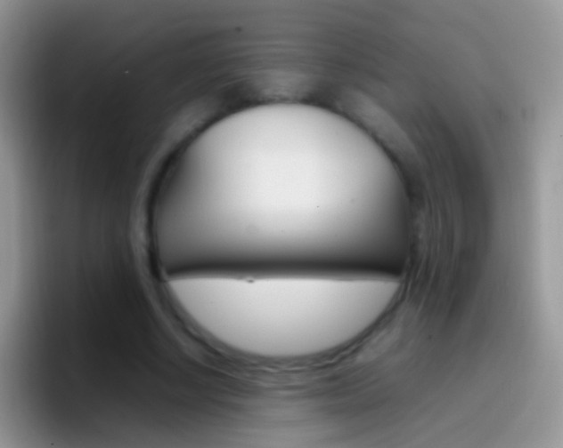 X0000097000634200802081029