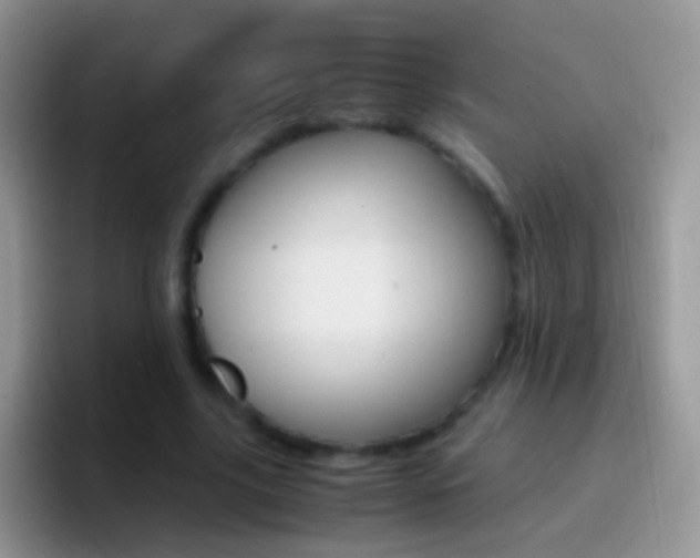 X0000097000635200802081029