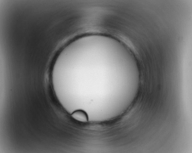 X0000097000636200802081029