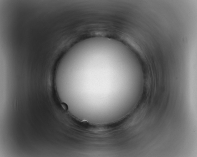 X0000097000639200802081029