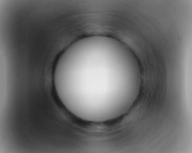 X0000097000642200802081029