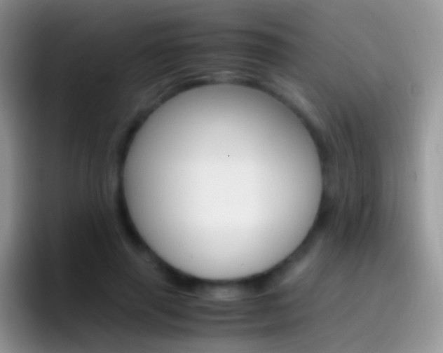 X0000097000645200802081029