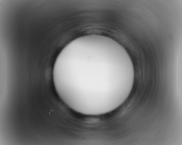 X0000097000649200802081029