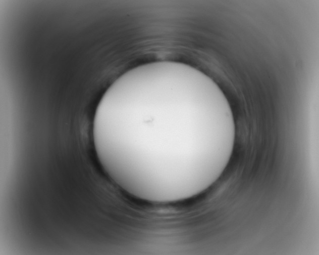 X0000097000650200802081029