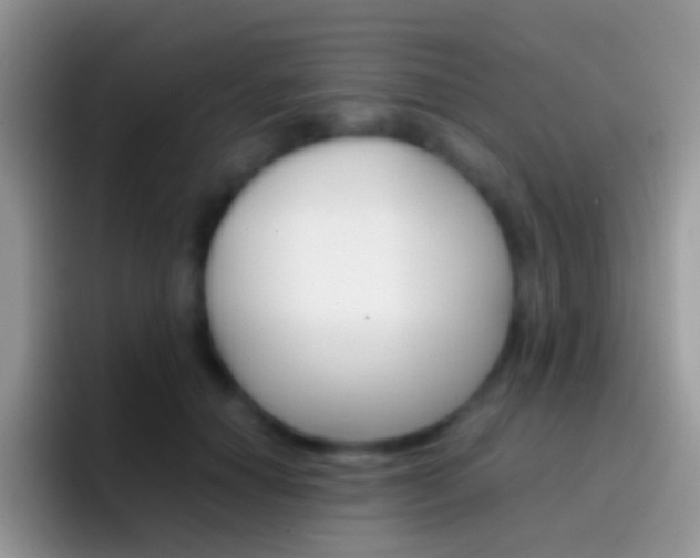 X0000097000654200802081029