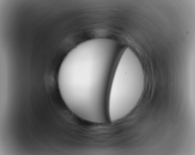X0000097000655200802081029