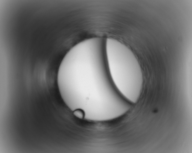 X0000097000656200802081029