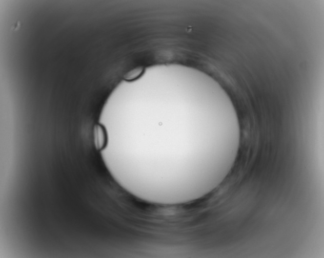 X0000097000659200802081029
