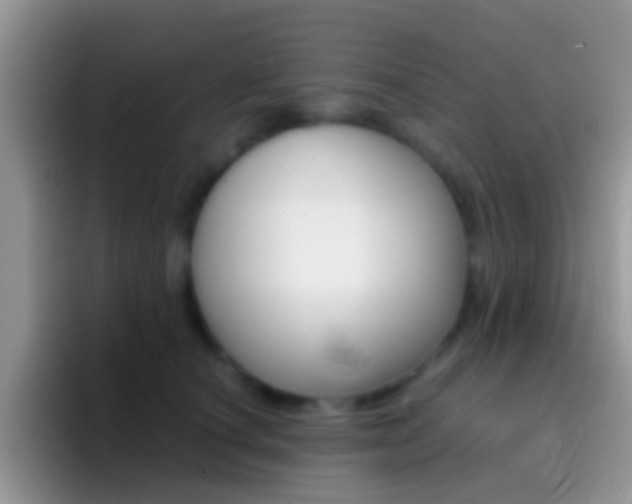 X0000097000660200802081029