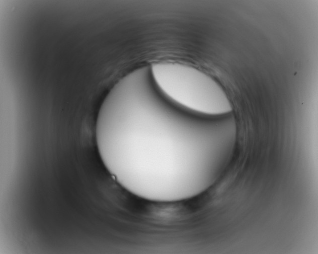 X0000097000661200802081029