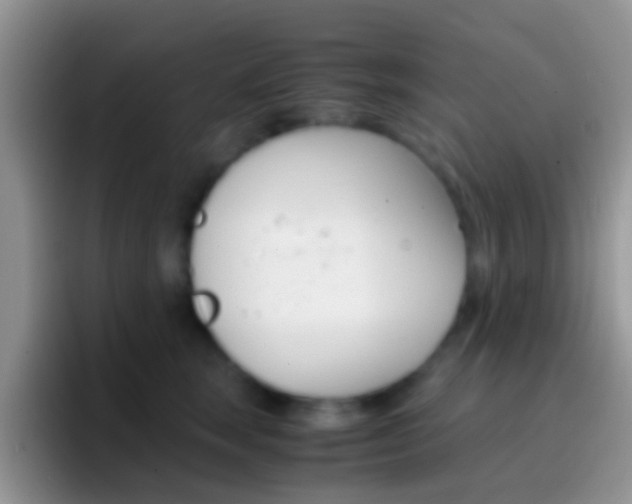 X0000097000663200802081029