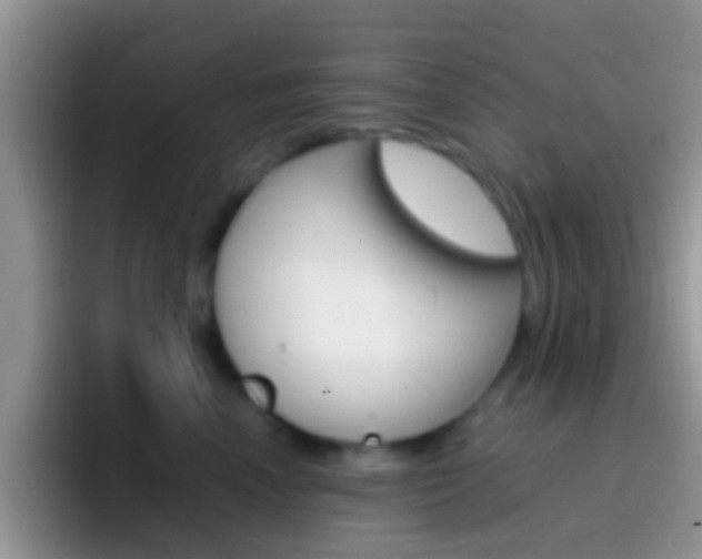 X0000097000666200802081029