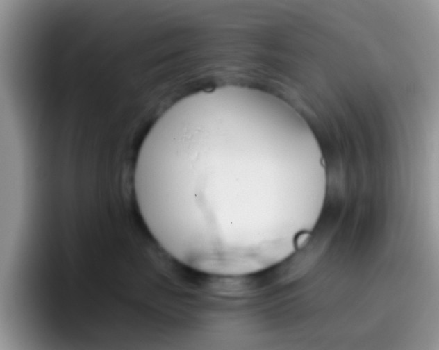 X0000097000671200802081029