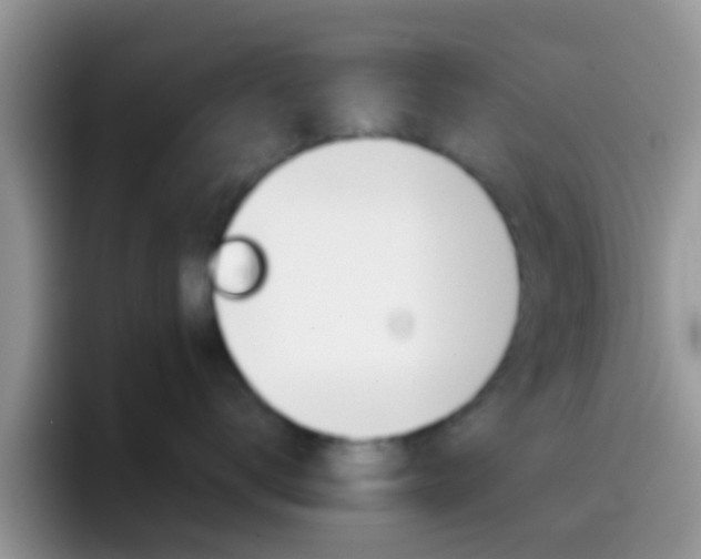 X0000097000672200802081029