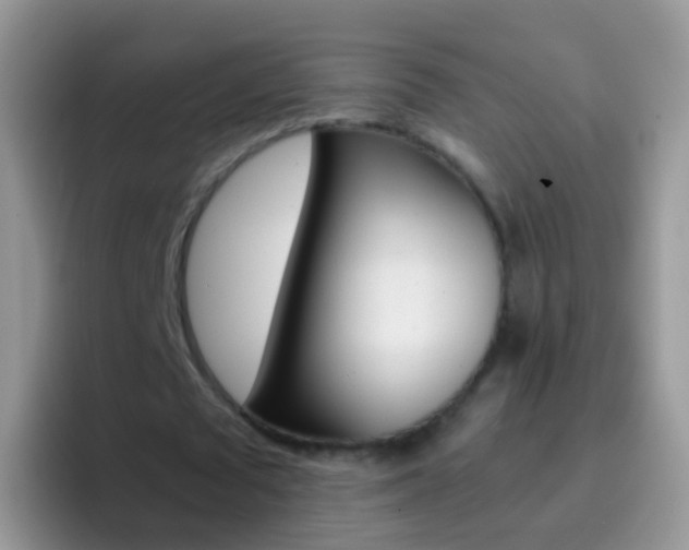 X0000097000673200802081029