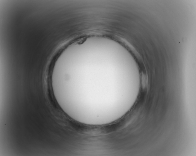 X0000097000675200802081029