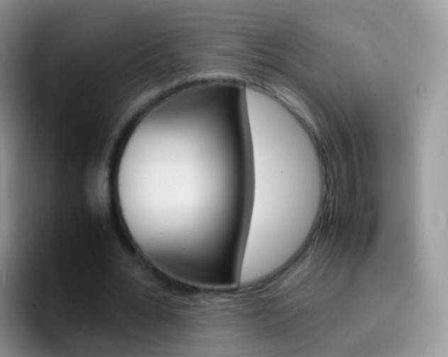 X0000097000676200802081029