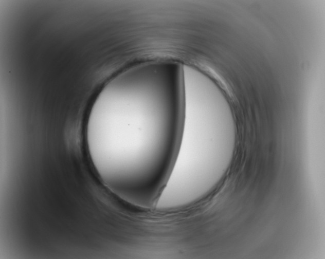 X0000097000677200802081029