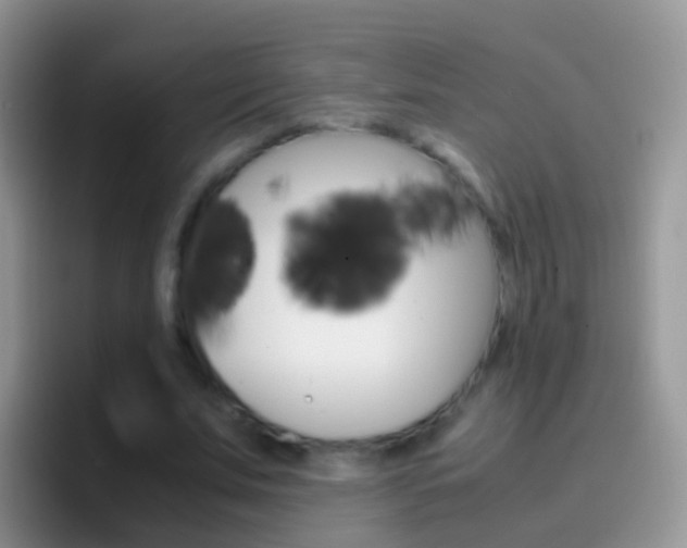 X0000097000679200802081028