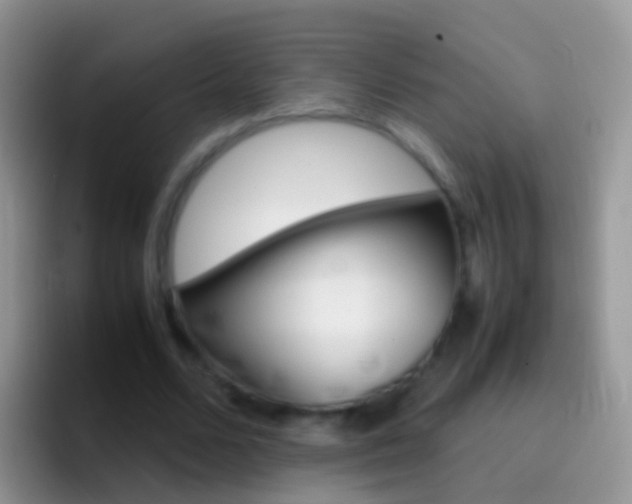 X0000097000680200802081028