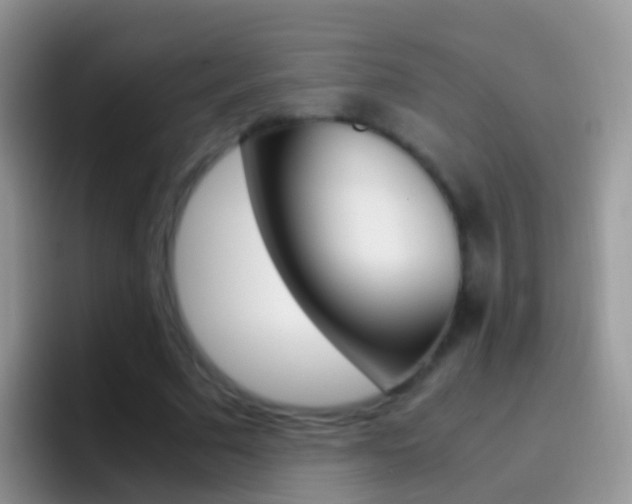 X0000097000681200802081028