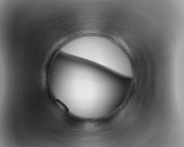 X0000097000684200802081028