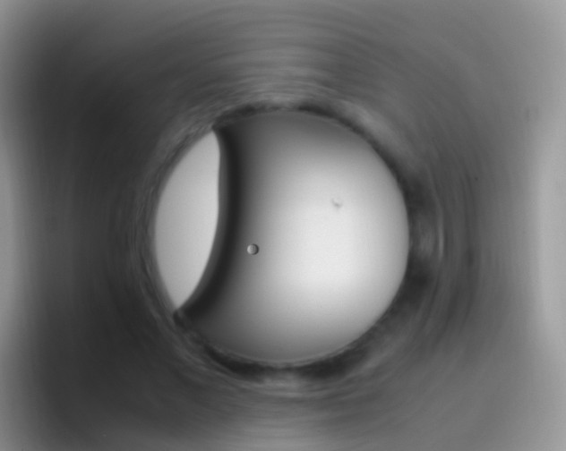 X0000097000685200802081028