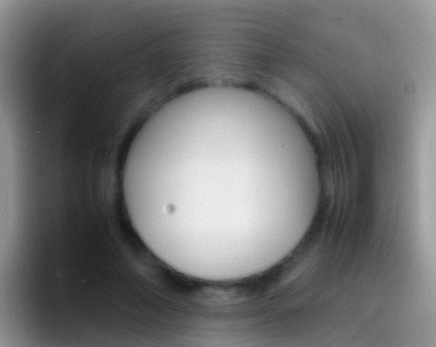 X0000097000690200802081028