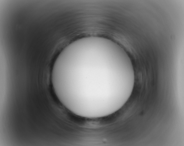 X0000097000694200802081028