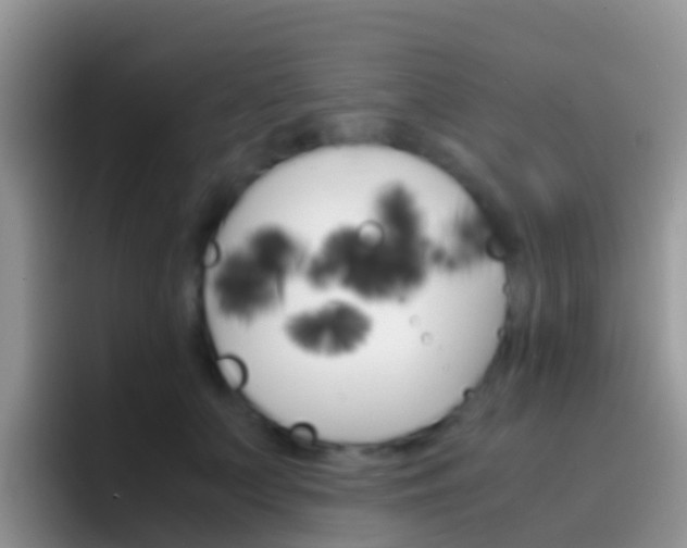 X0000097000703200802081028