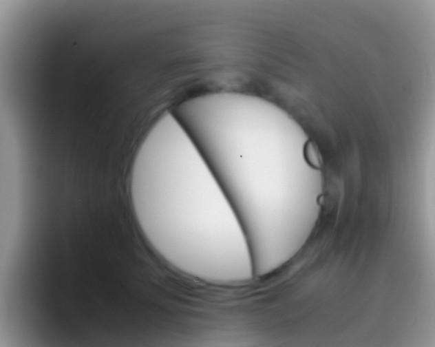 X0000097000707200802081028