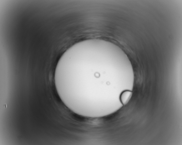 X0000097000711200802081028
