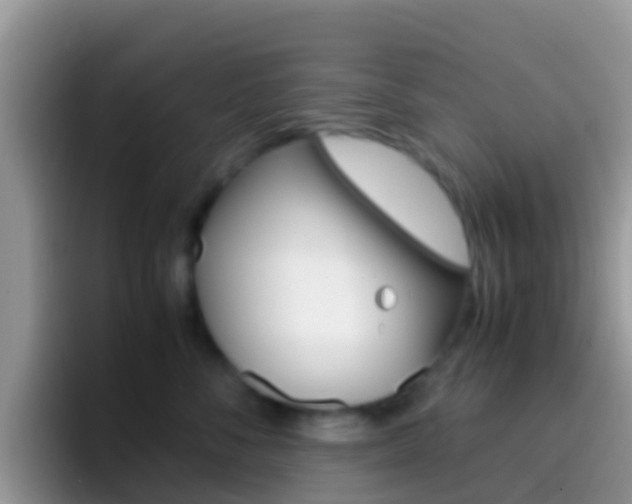 X0000097000716200802081028