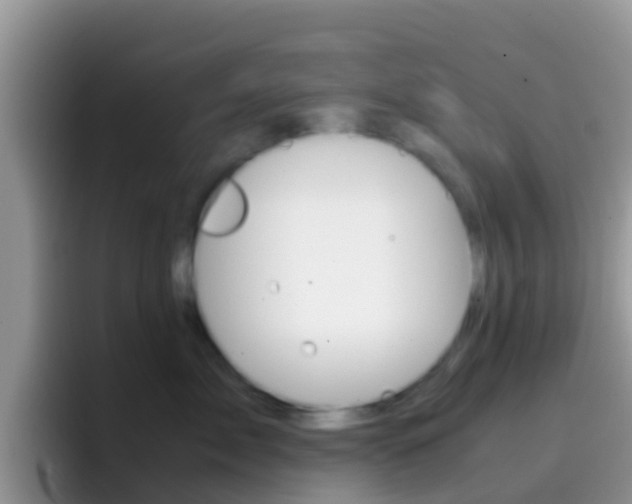 X0000097000717200802081028