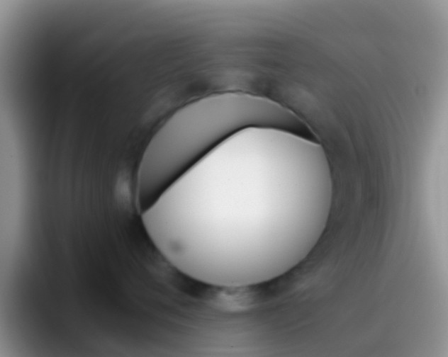 X0000097000720200802081028
