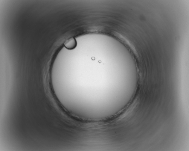 X0000097000721200802081027