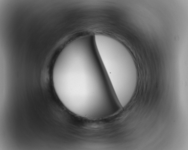X0000097000731200802081027