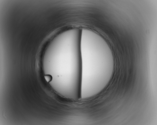 X0000097000732200802081027