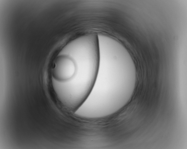 X0000097000734200802081028