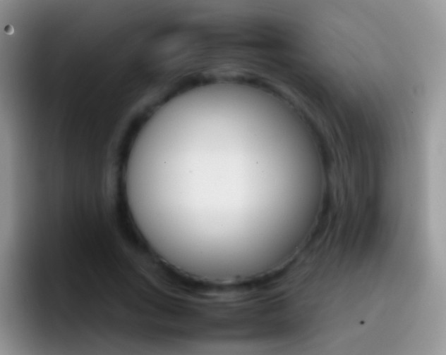 X0000097000735200802081028